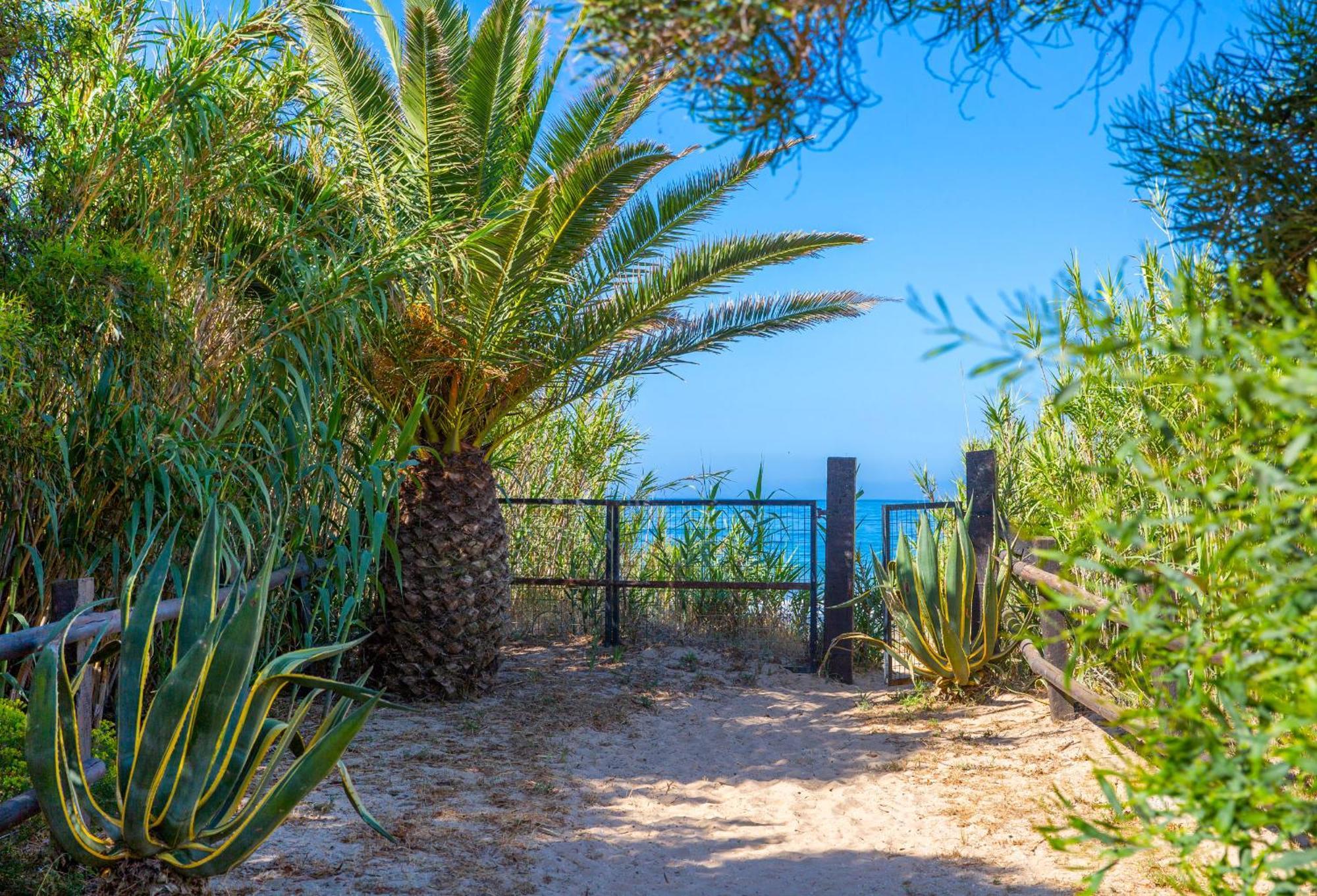 Zahora Dreams Villa Barbate Exteriör bild